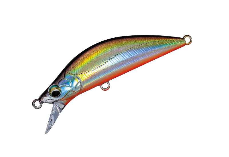 MAJOR CRAFT Eden 45S