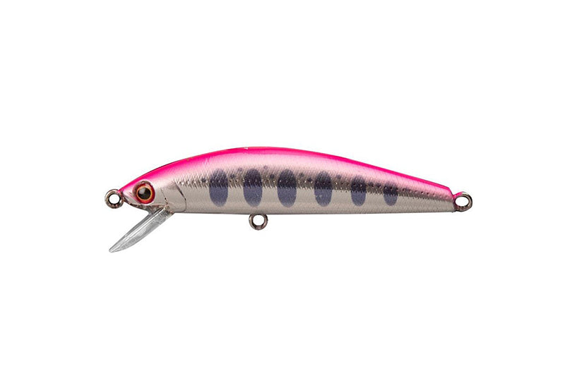 JACKSON Trout Tune HW 55