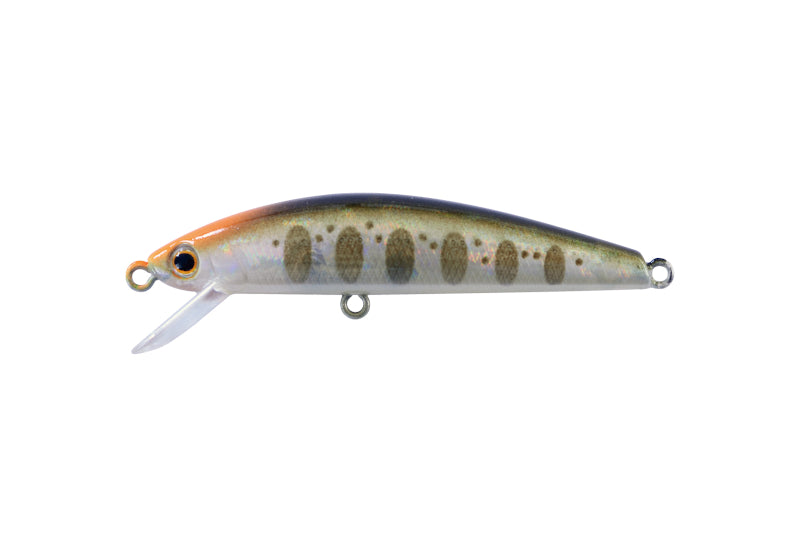 JACKSON Trout Tune Normal 55