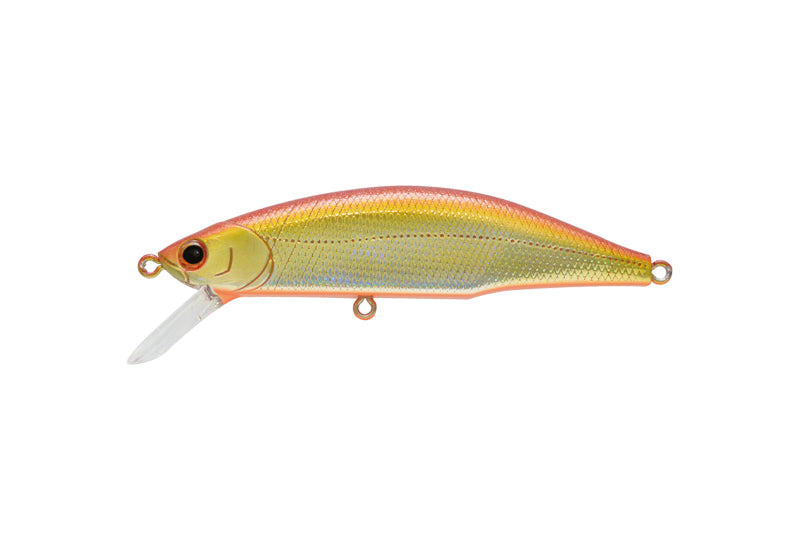 JACKSON Meteora Ryusei 80